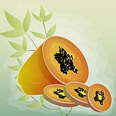 Watermelon Stock Illustration Images. 1,363 watermelon illustrations available to search from